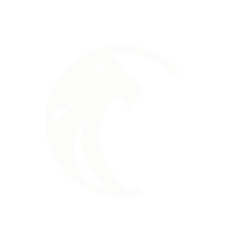 Simone Ferretti lion logo